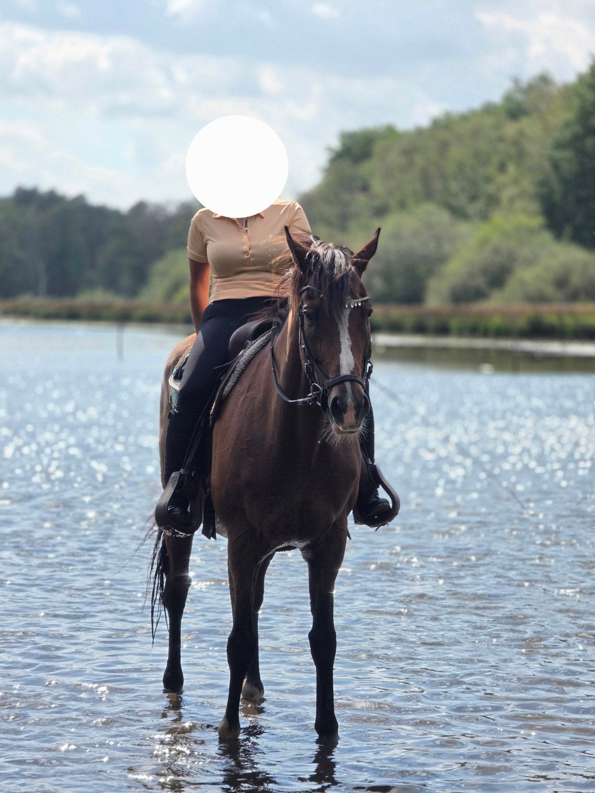 Knappe stoere familie ruin