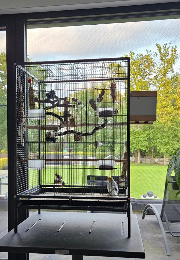 Vogelkooi met wieltjes, Enlèvement, Cage à oiseaux