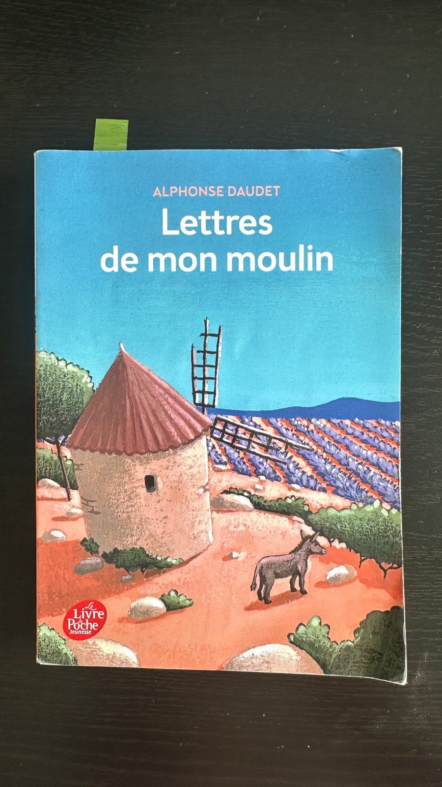 De brieven van mijn fabriek, Boeken, Taal | Frans, Ophalen, Zo goed als nieuw