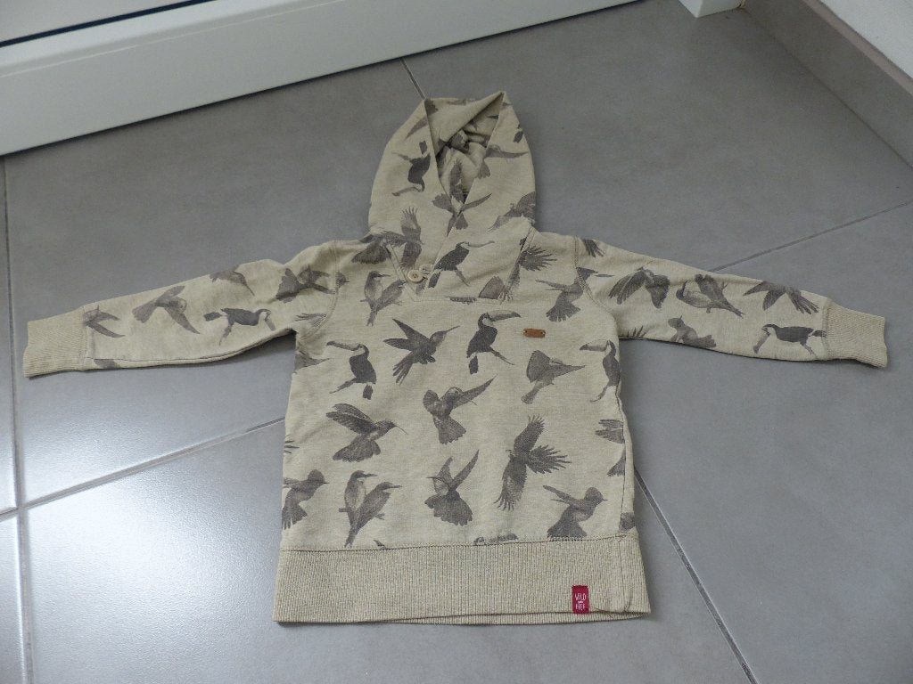 Sweat à capuche JBC Fun - oiseaux - taille 98, Garçon, Enlèvement ou Envoi, Pull ou Veste, JBC