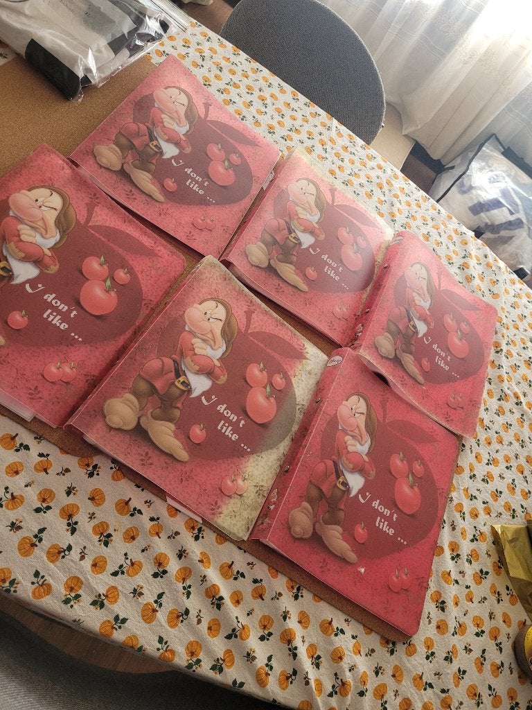 12 disney mappen, Ophalen, Gebruikt