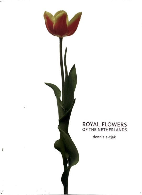 Royal flowers of the Netherlands, Livres, Enlèvement ou Envoi, Comme neuf, Fleurs, Plantes et Arbres