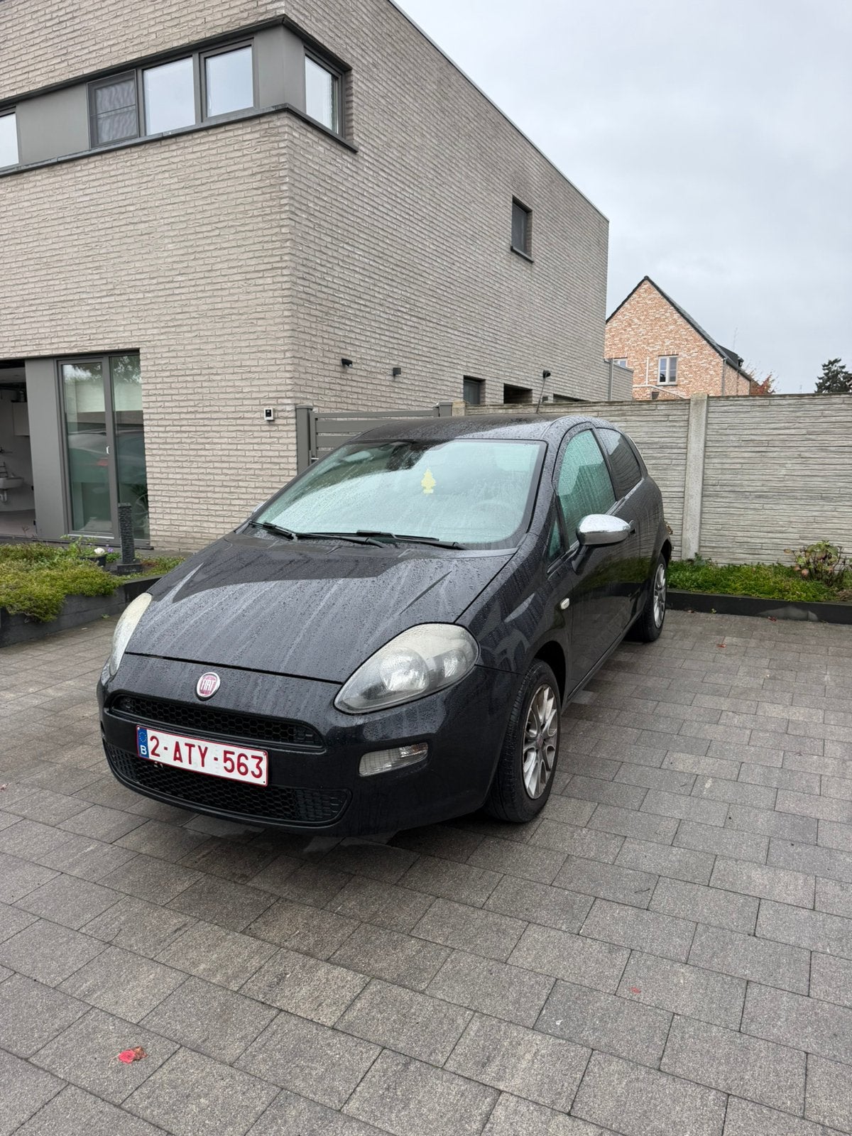 Fiat Punto Evo, Autos, Achat, Particulier, Punto, Essence