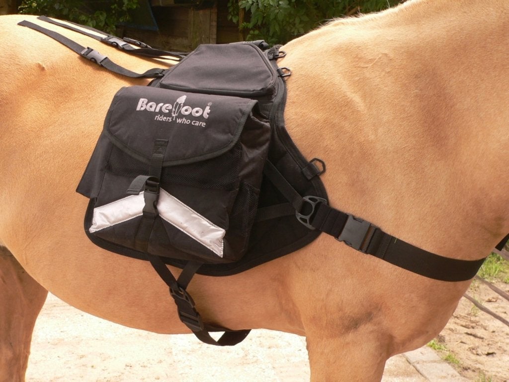 paardenrugzak, Animaux & Accessoires, Enlèvement ou Envoi, Neuf, Autres disciplines