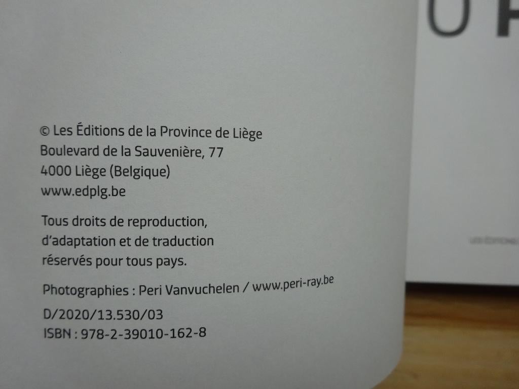 Jo Rome, 2020, Monographie, Liège, Peinture et dessin, Enlèvement ou Envoi, Comme neuf, Philippe Delaite