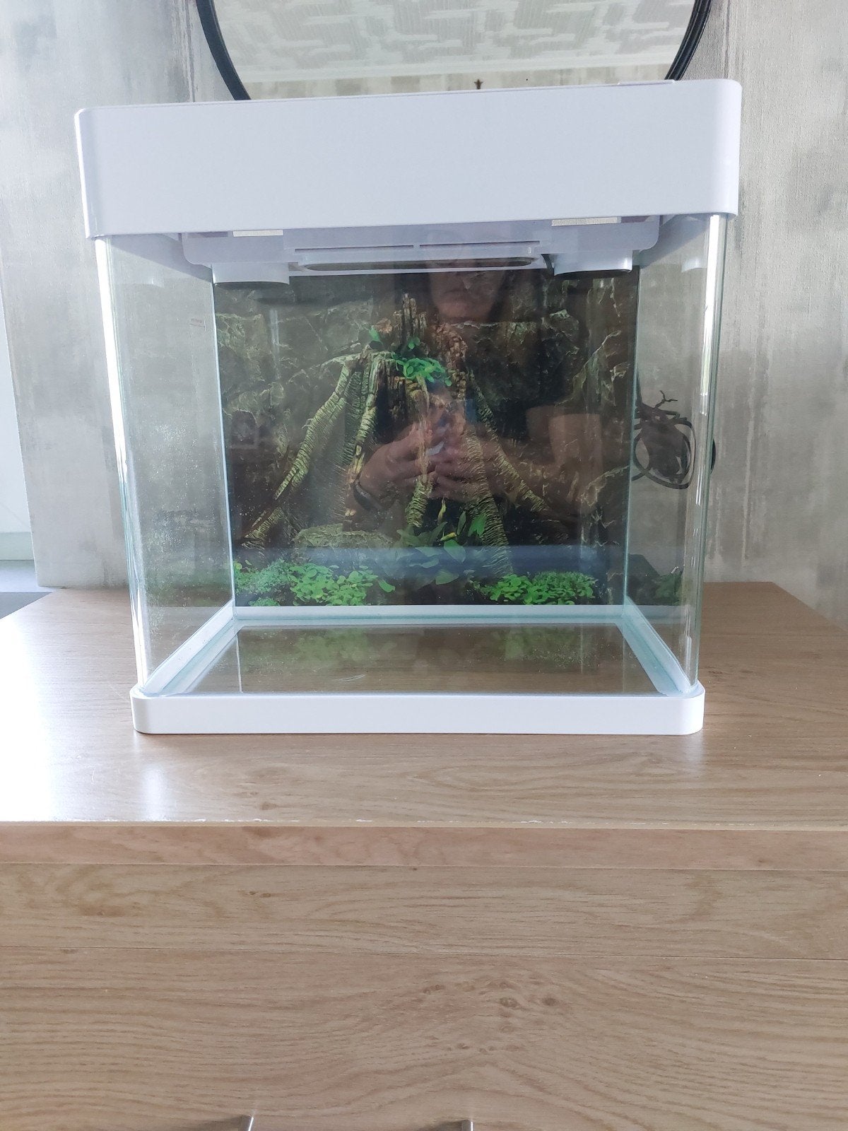 aquarium superfish start 35 LED, Enlèvement, Pompe, Sera