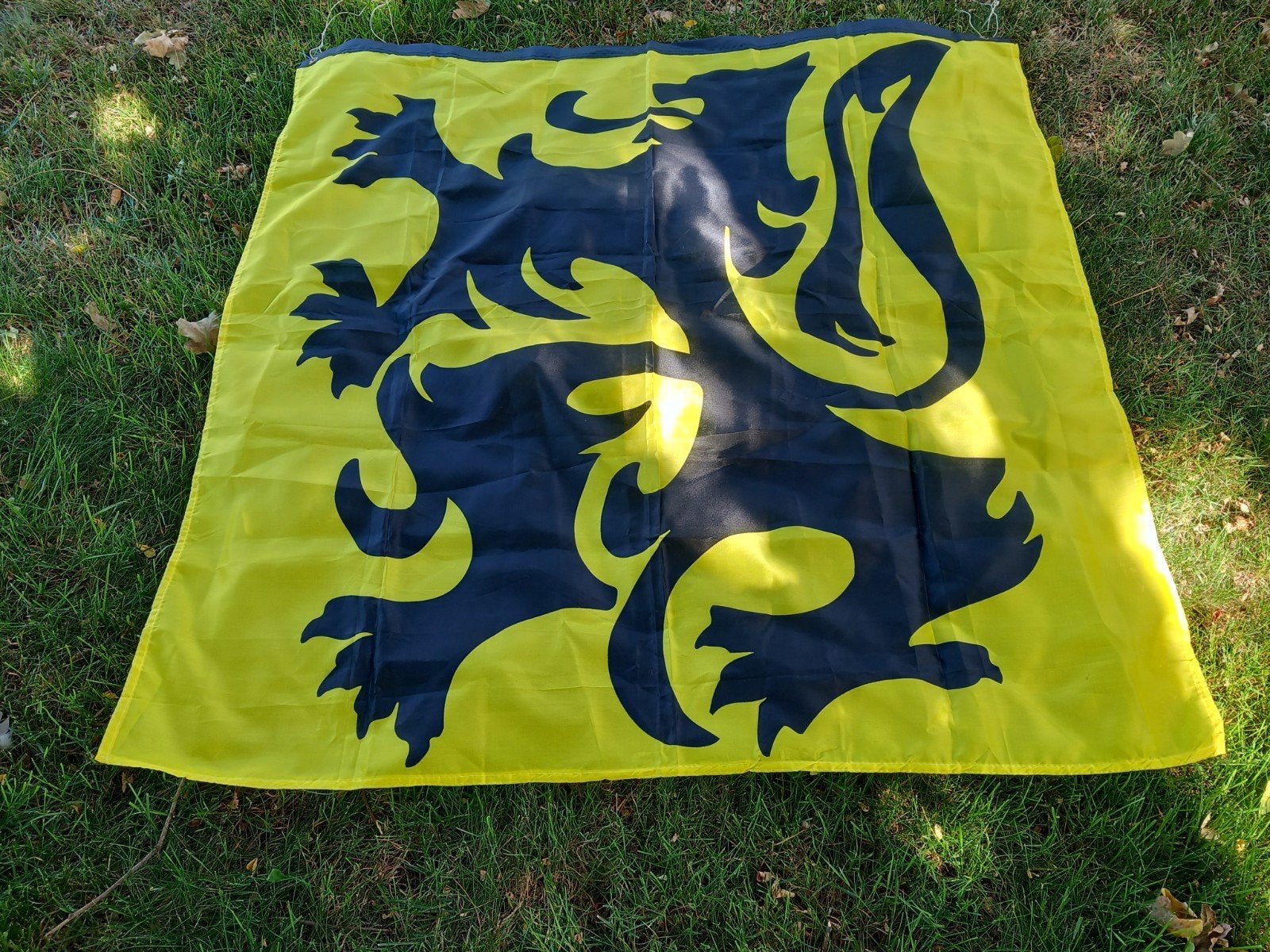 Vlag Vlaamse Leeuw vierkant  1,2 m, Ophalen of Verzenden