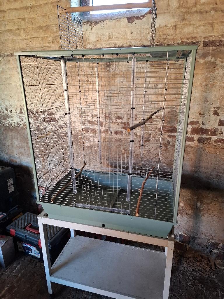 Cage à oiseaux, Enlèvement, Utilisé, Synthétique, Cage à oiseaux