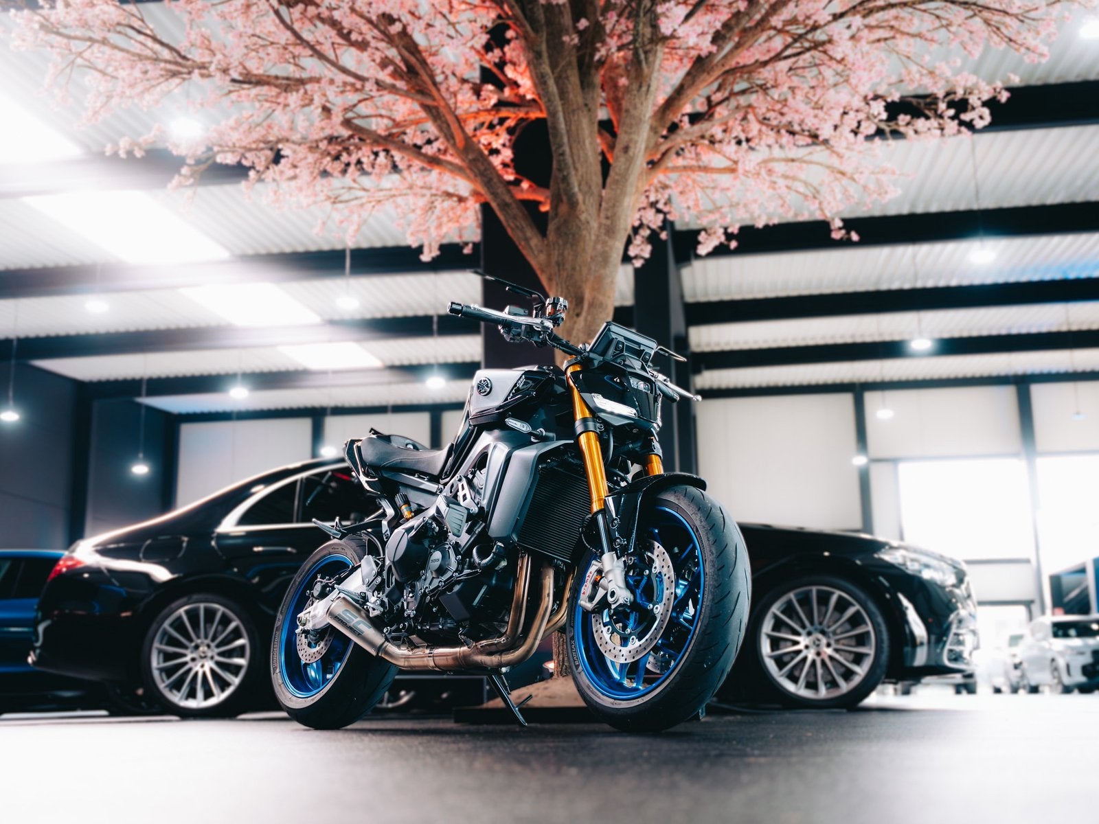 Yamaha mt09-SP A2 2025, Motos, Motos | Yamaha, Occasion, Particulier, 3 cylindres, Manuelle