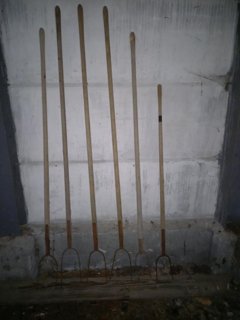 Hooivorken, Jardin & Terrasse, Outils à main, Enlèvement, Utilisé, Fourchette
