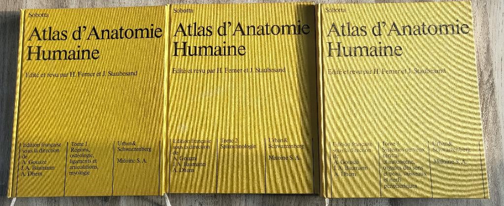 ATLAS ANATOMIE SOBOTTA PARFAIT ETAT, Enlèvement, Comme neuf