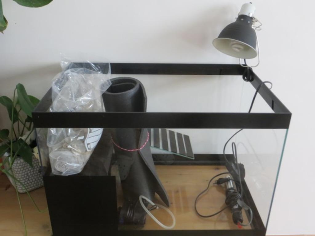 AQUARIUM VOOR WATERSCHILDPADDEN & ACCESSOIRES, Dieren en Toebehoren, Ophalen, Gebruikt, Leeg aquarium