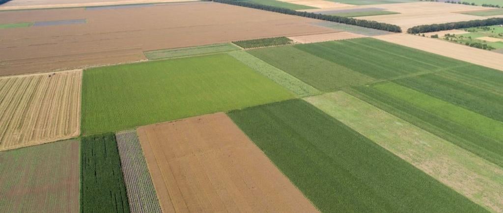 Landbouwgrond of weidegronden GEZOCHT regio Denderleeuw, Immo, Iddergem (Denderleeuw), Ventes sans courtier