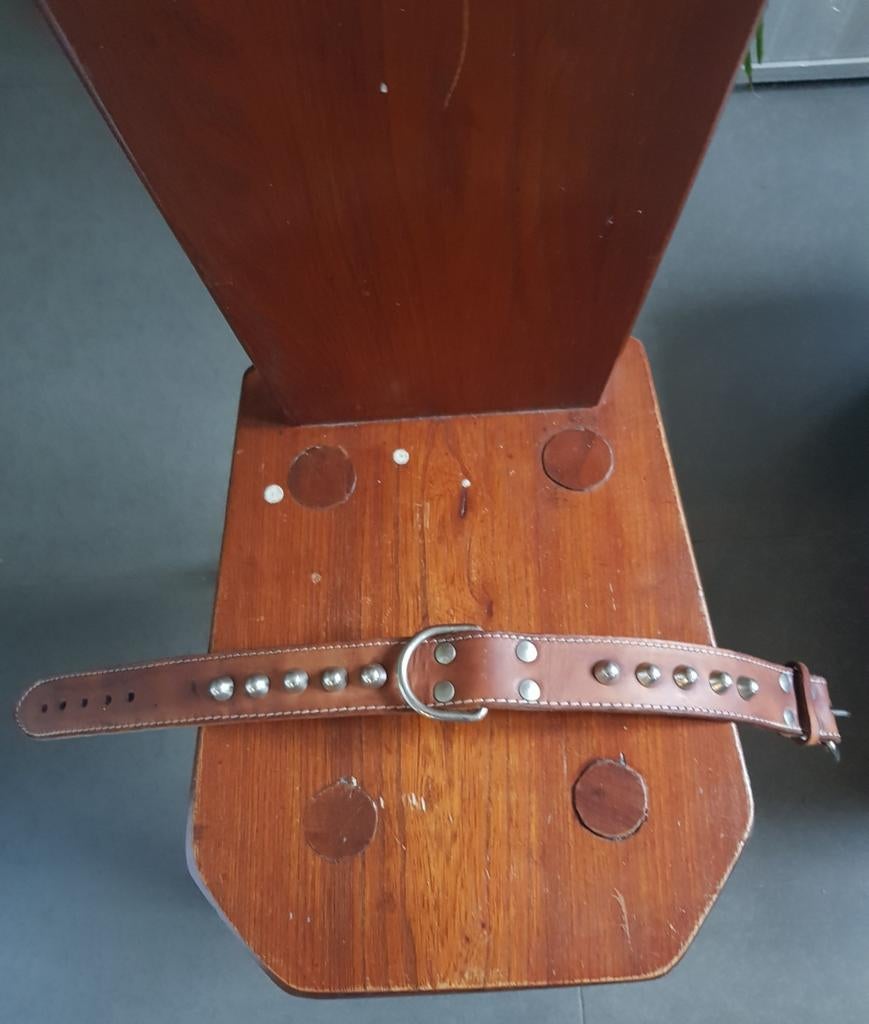 Halsband leer met studs. Nieuwstaat. Gratis verzending., Dieren en Toebehoren, Ophalen of Verzenden, Zo goed als nieuw, Hondenriem-accessoire