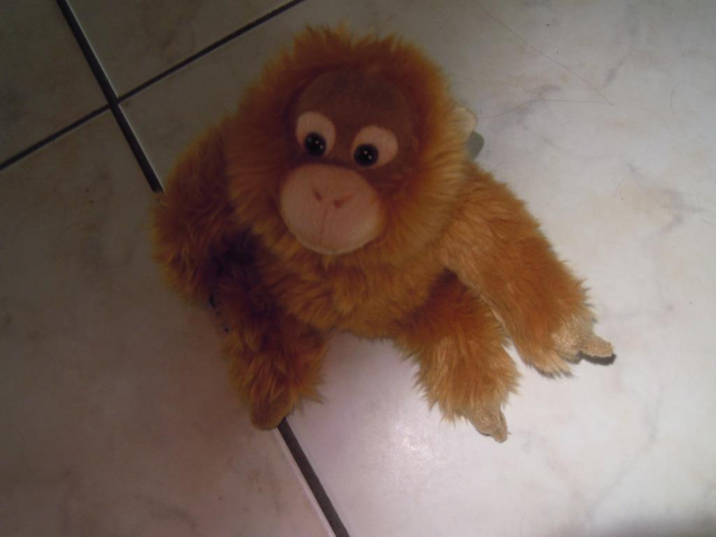 knuffel wwf aap (doos november 2025), Kinderen en Baby's, Speelgoed | Knuffels en Pluche, Ophalen of Verzenden, Nieuw