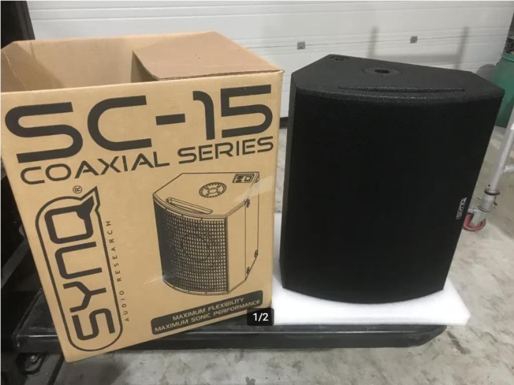 2 Boxen SC - 15 Coaxial Series Syncq, Audio, Tv en Foto, Luidsprekerboxen, Overige typen, Zo goed als nieuw, 120 watt of meer
