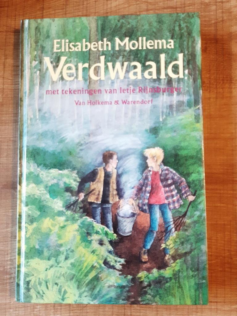 Elisabeth Mollema - Verdwaald, Ophalen of Verzenden, Zo goed als nieuw, Elisabeth Mollema