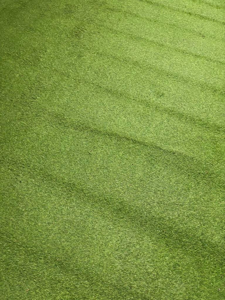 Tapis pelouse, Enlèvement, Utilisé, 10 à 20 m², Gazon artificiel