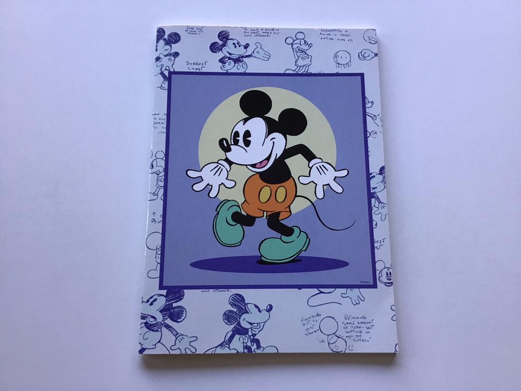 Schrift Mickey A 4, lange ruiten,nieuw, Diversen, Ophalen of Verzenden, Nieuw