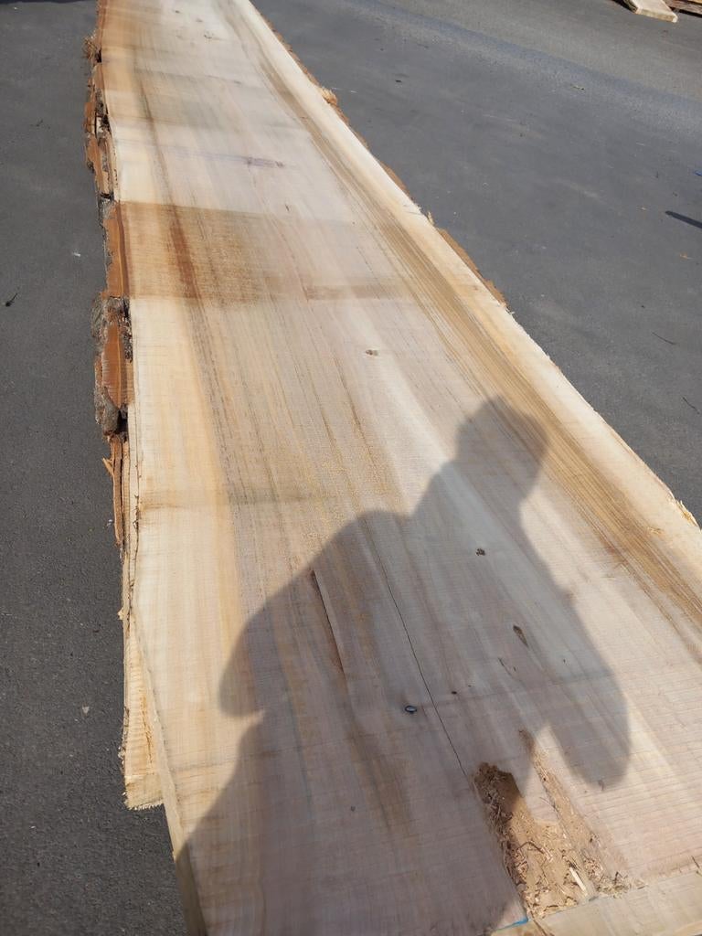 Boomstamtafels tafelbladen planken Wandplanken badkamer, Tuin en Terras, Ophalen, Nieuw, Planken