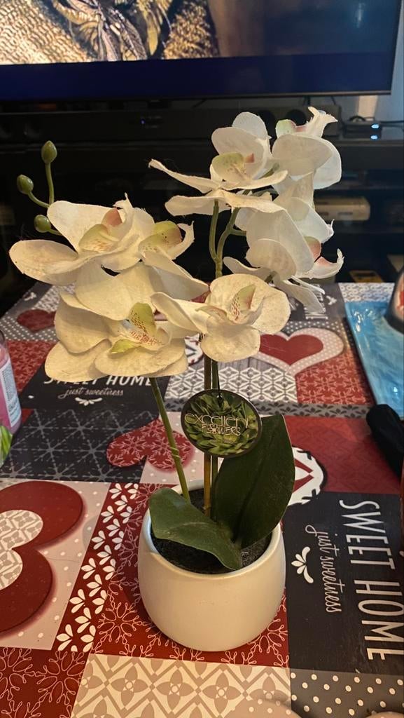 Orchidee artificielle 35cm neuve, Enlèvement, Comme neuf