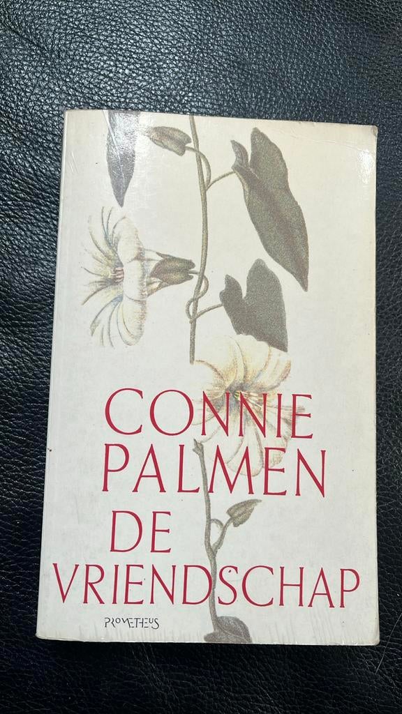 Boek De vriendschap - Connie Palmen, Ophalen of Verzenden, Gelezen, Connie Palmen