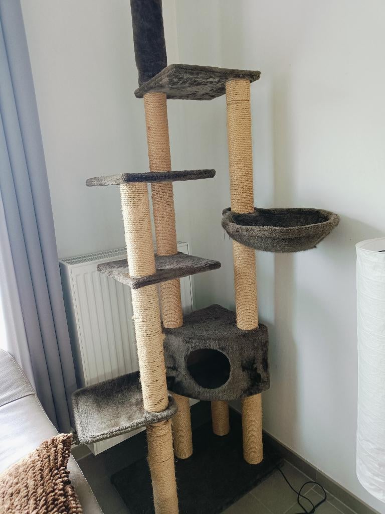 Kattenkrabpaal, Ophalen, Gebruikt, Krabpaal