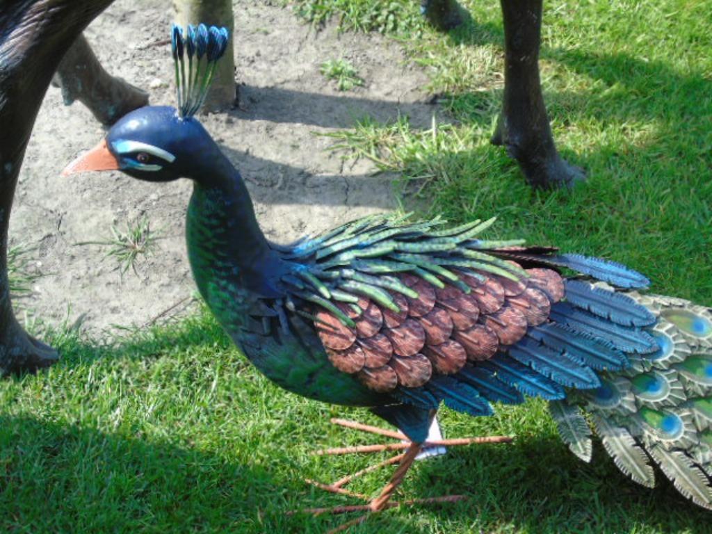 een staande pauw in smeedijzer van Colors..., Ophalen, Nieuw, Metaal, Dierenbeeld