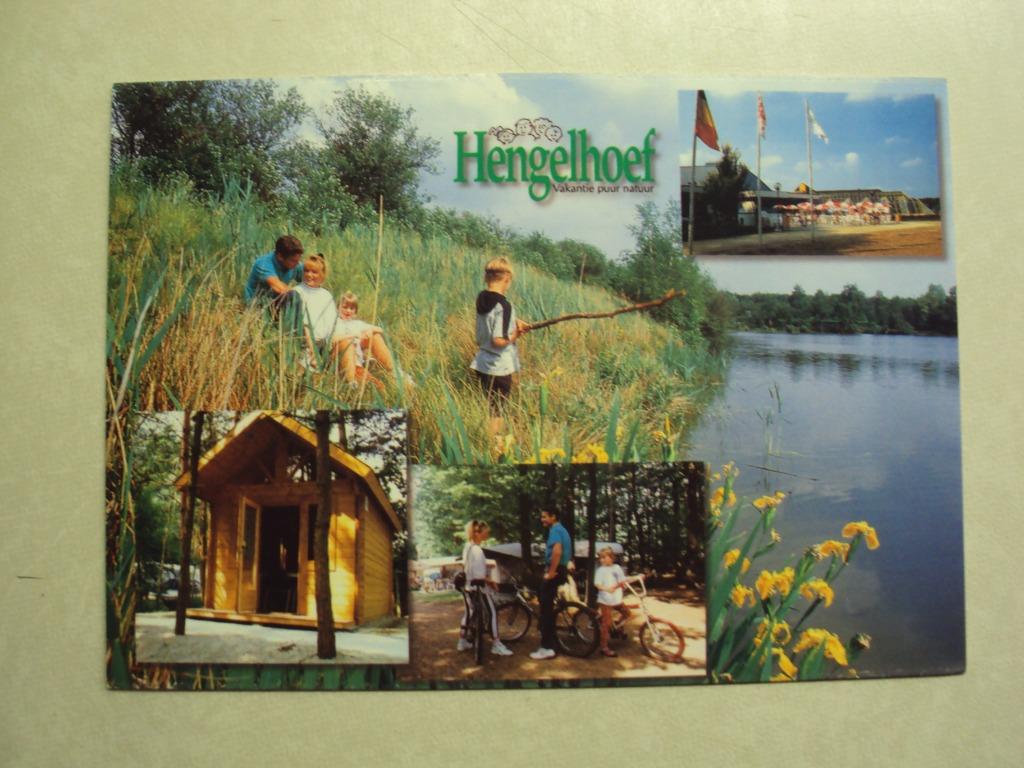 54785 - HOUTHALEN - HENGELHOEF - 4 ZICHTEN - ZIE 2 FOTO'S, Envoi