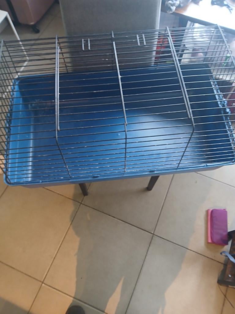 Konijnen hok binnen/buiten, Lapin, Moins de 60 cm, 75 à 110 cm, Cage