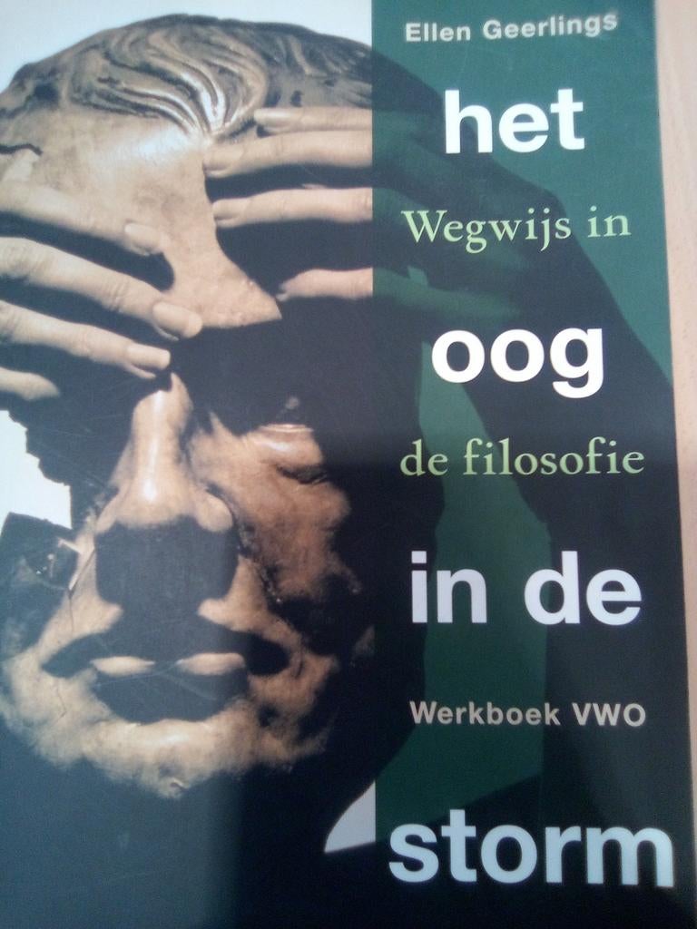 Het oog in de storm ISBN 9789085062875, Livres, Livres scolaires, Enlèvement ou Envoi