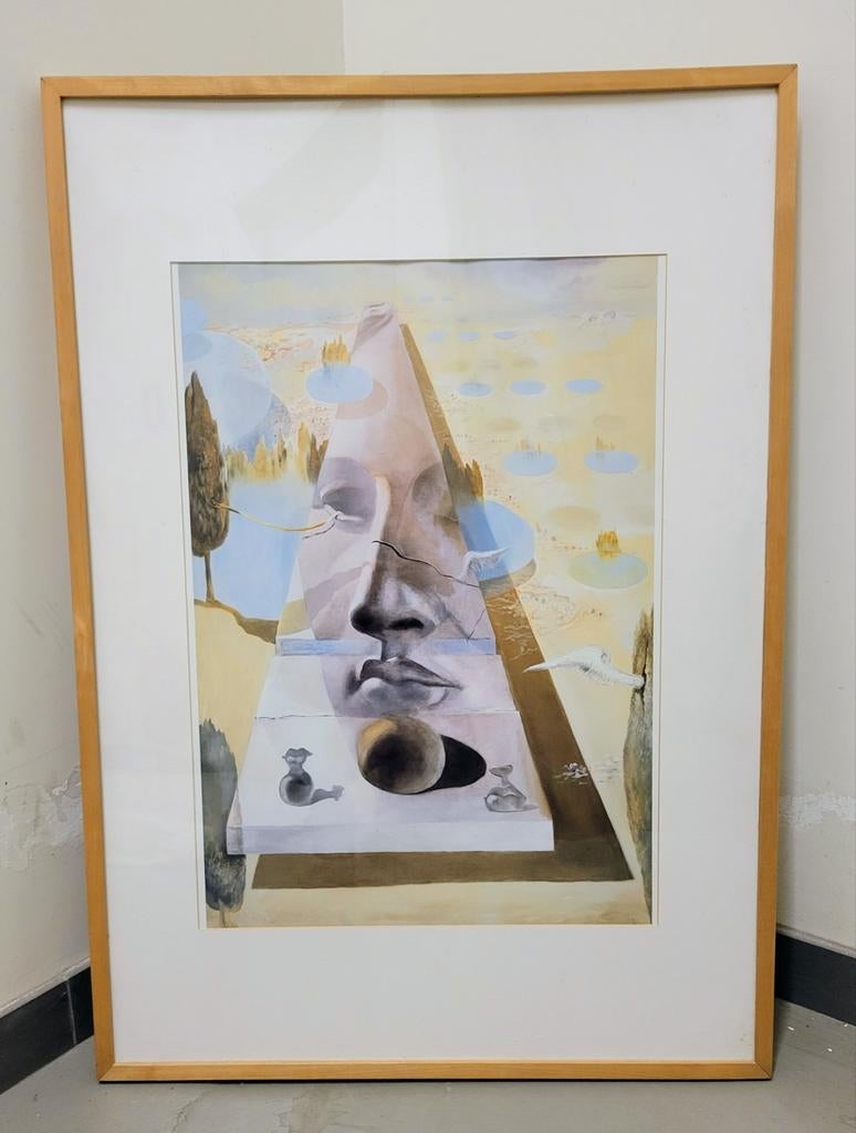 Reproductie van Salvador Dali., Antiek en Kunst, Ophalen