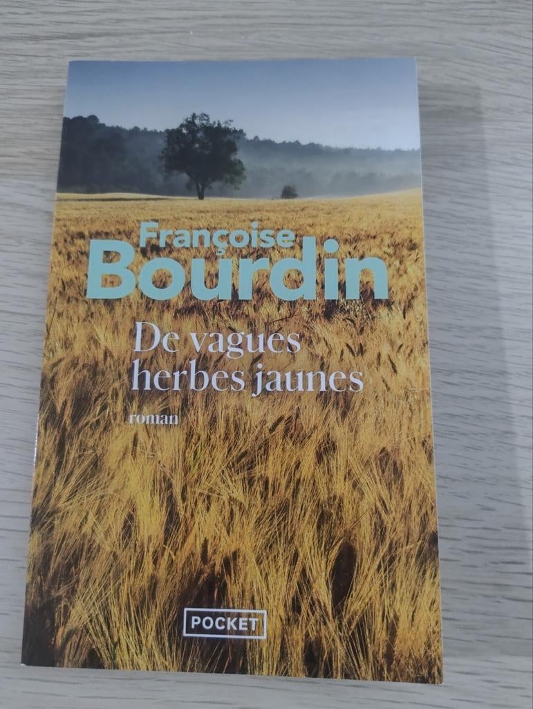 De vagues herbes jaunes - Françoise Bourdin, Livres, Enlèvement ou Envoi, Comme neuf, Françoise Bourdin
