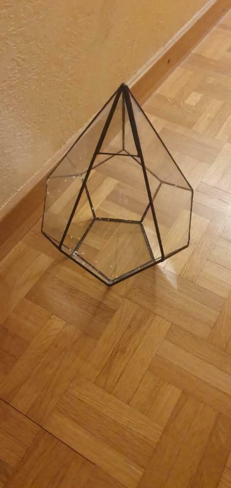 Terrarium voor planten, Ophalen of Verzenden, Nieuw