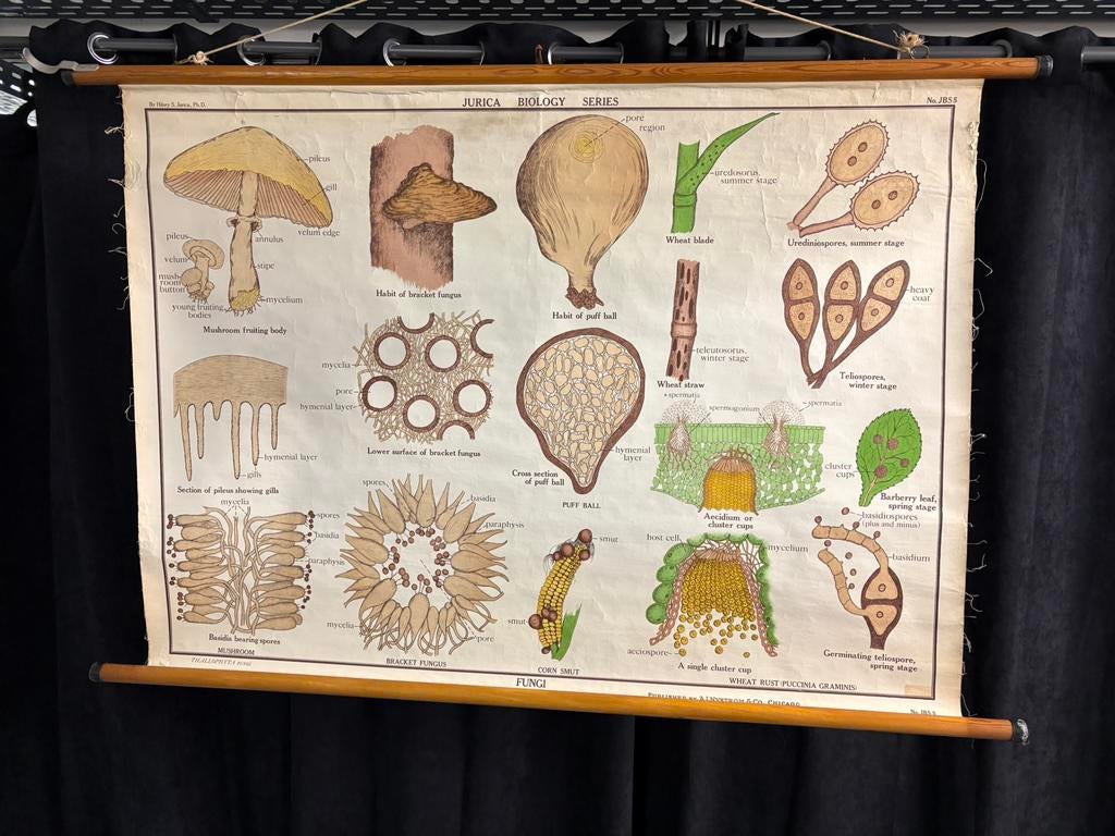 Vintage eductiebord, Enlèvement