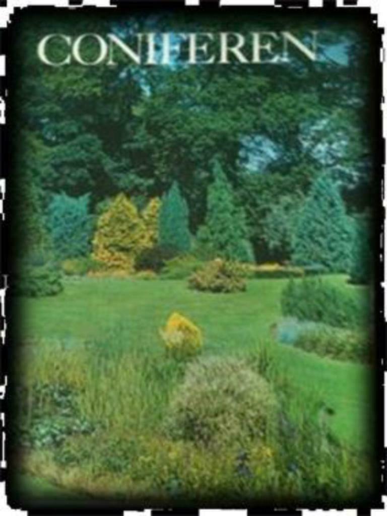 Coniferen, Ophalen of Verzenden, Gelezen