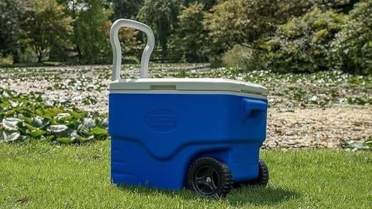 Harde koelbox | 37,5 l | GRATIS LEVERING, Verzenden, -, Nieuw, -