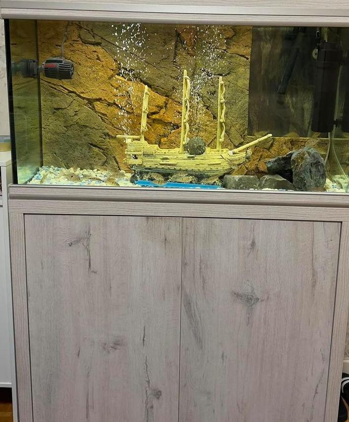 Aquarium 220 liter volle verpakking + 25 geofaagvissen, Dieren en Toebehoren, Vissen | Aquaria en Toebehoren, Zo goed als nieuw