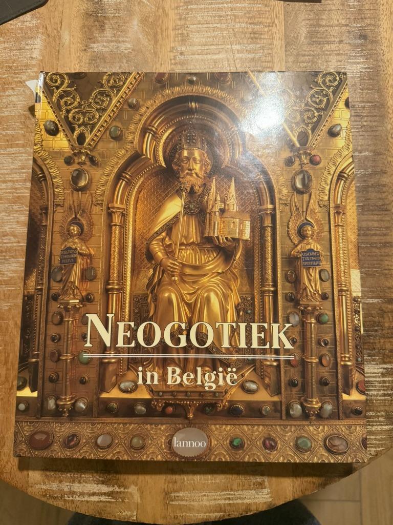 Neogotiek in België - Lannoo, Boeken, Gelezen, Ophalen of Verzenden, Stijl of Stroming, Jean van Cleven