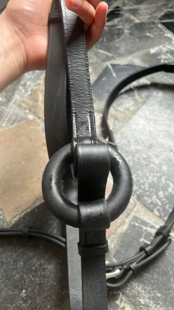 Bijzetteugels harry’s horse, Ophalen of Verzenden, Zo goed als nieuw