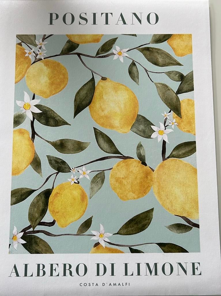 Poster canvas Positano Albero di Limone - Côte amalfitaine, Enlèvement ou Envoi, Comme neuf