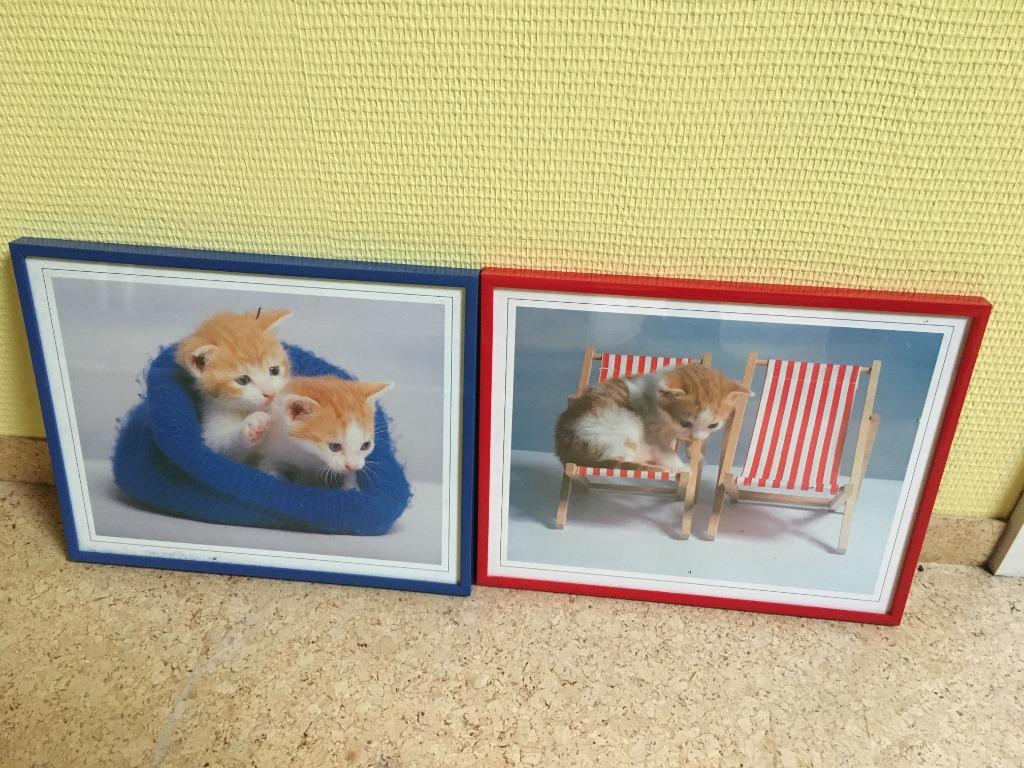2 kadertjes katjes, Ophalen of Verzenden, Zo goed als nieuw, Wanddecoratie