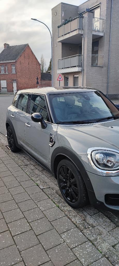 Mini Countryman SD Diesel, Auto's, Mini, Automaat, 4 deurs, Countryman, Leder