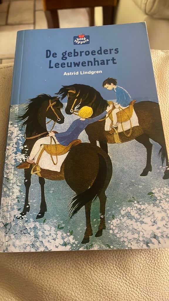 Boek de gebroeders leeuwenhart, Ophalen of Verzenden, Zo goed als nieuw