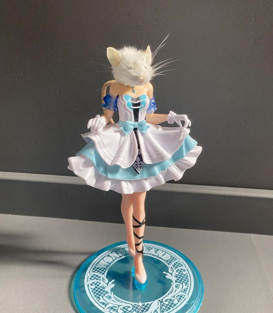 Cinderella muis taxidermie, Verzamelen, Ophalen of Verzenden