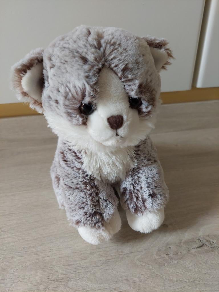 Knuffel poes, Ophalen of Verzenden, Zo goed als nieuw