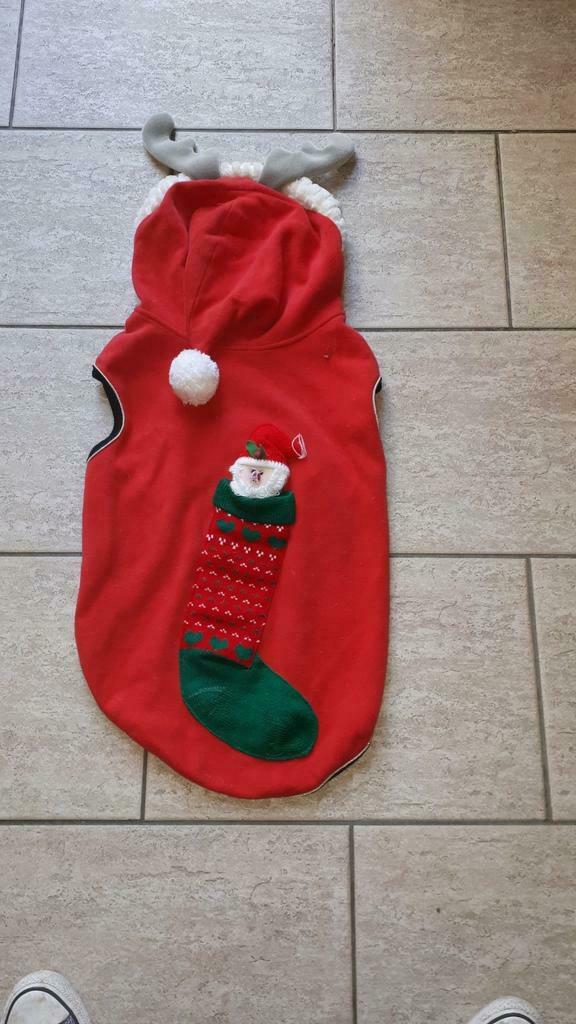 Honden kerstpak, Ophalen of Verzenden, Zo goed als nieuw