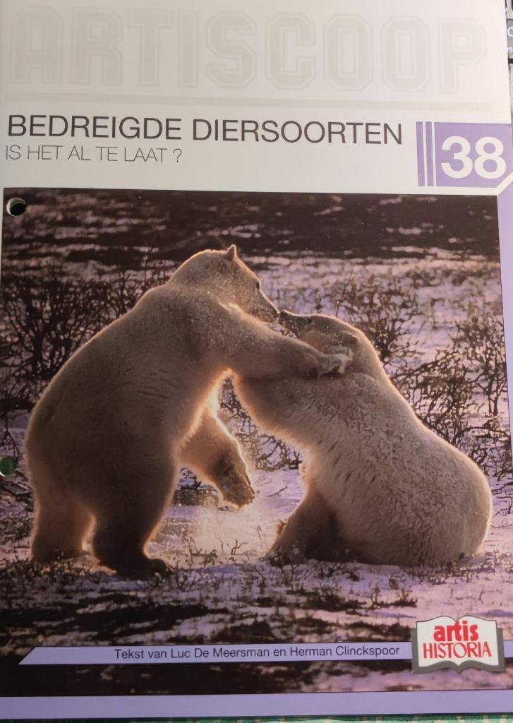 Lege boekjes Artiscoop nog niet ingekleefd - artis historia, Enlèvement ou Envoi, Neuf, Artis Historia, Livre d'images