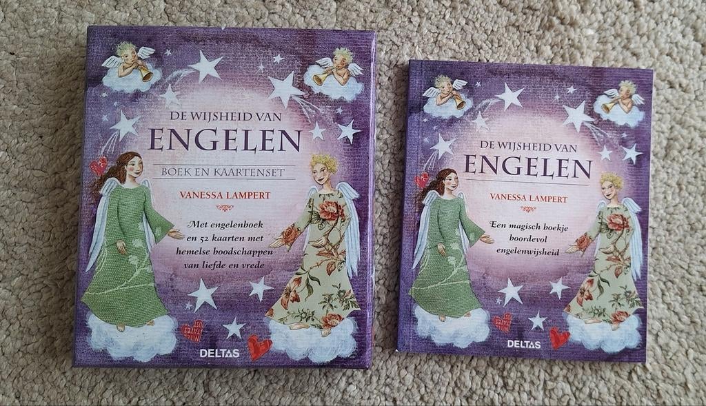 Vanessa Lampert - De wijsheid van engelen, Boeken, Esoterie en Spiritualiteit, Zo goed als nieuw, Ophalen of Verzenden