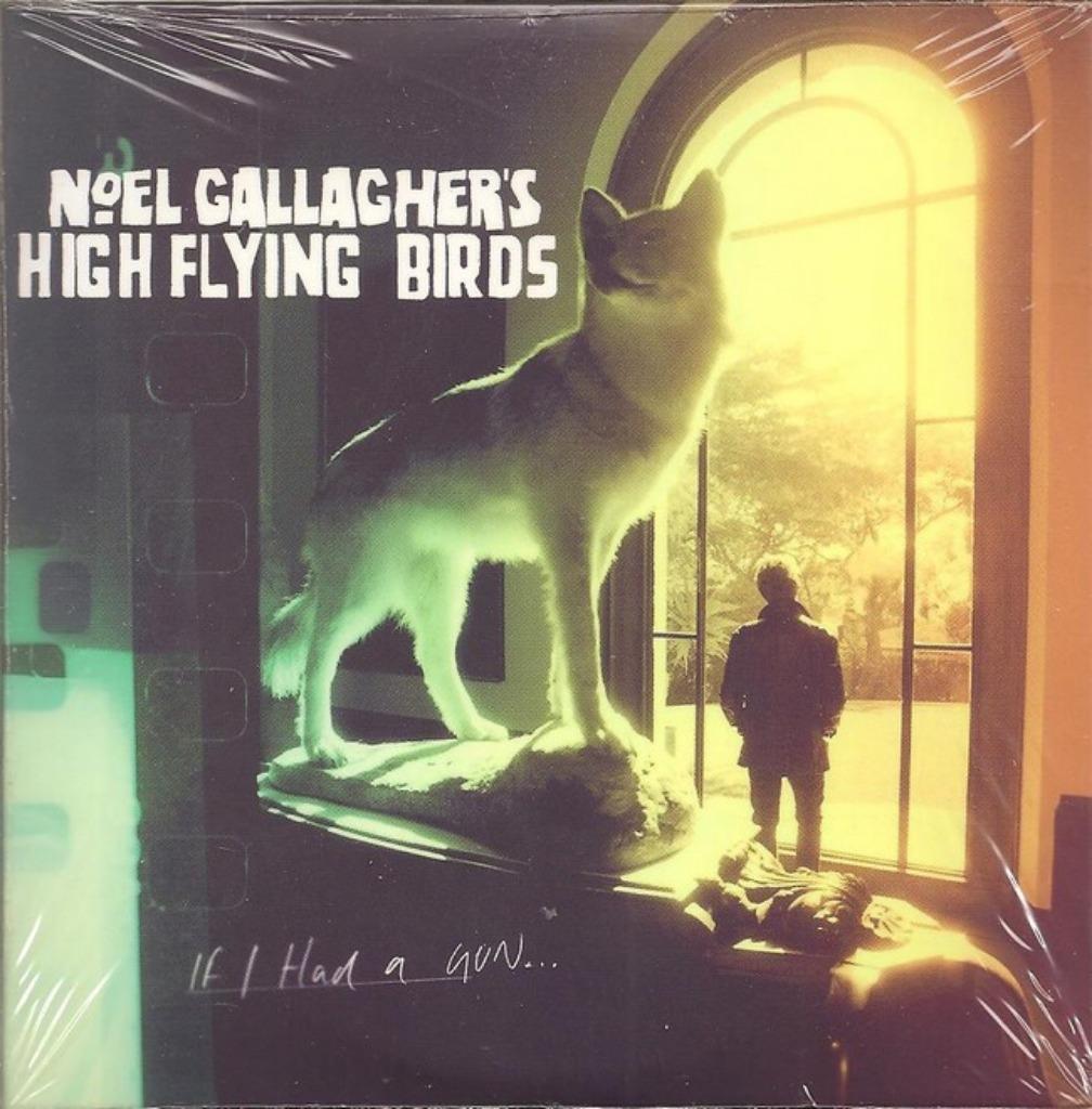 NOEL GALLAGHER'S HIGH FLYING BIRDS - IF I HAD A GUN ...OASIS, 1 single, Verzenden, Nieuw in verpakking, Rock en Metal